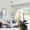 12-Pack: Real Touch White Phalaenopsis Orchid Stem, Floral Home by Artificial Flowers